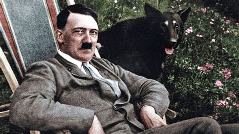adolfhitlertv|Hitler: The Rise and Fall .